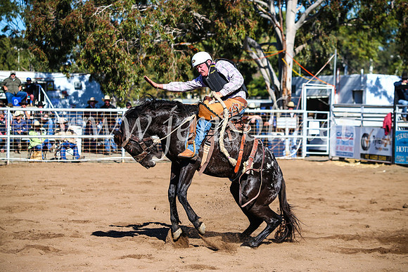 CoonambleRodeoCampdraftMon_6780
