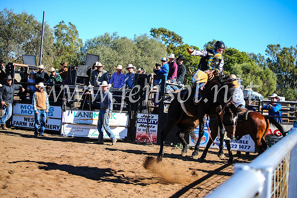 CoonambleRodeoCampdraftMon_6798