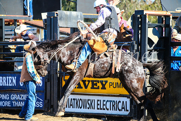 CoonambleRodeoCampdraftMon_6770
