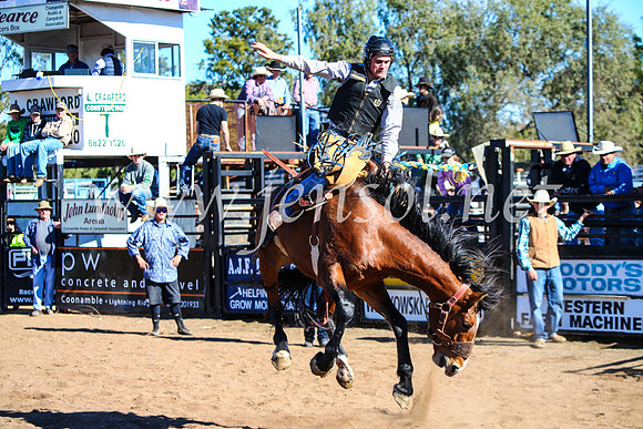 CoonambleRodeoCampdraftMon_6835
