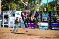 CoonambleRodeoCampdraftMon_6708