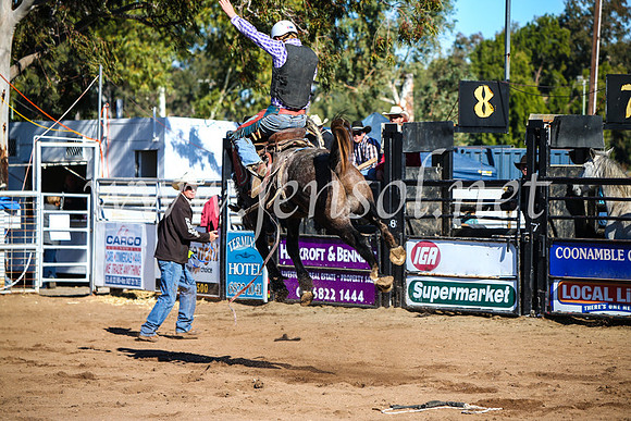 CoonambleRodeoCampdraftMon_6708