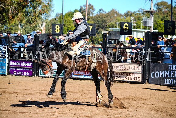 CoonambleRodeoCampdraftMon_6748