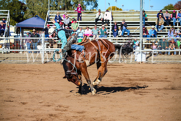 CoonambleRodeoCampdraftMon_6677