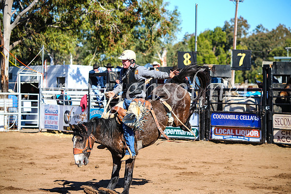CoonambleRodeoCampdraftMon_6762