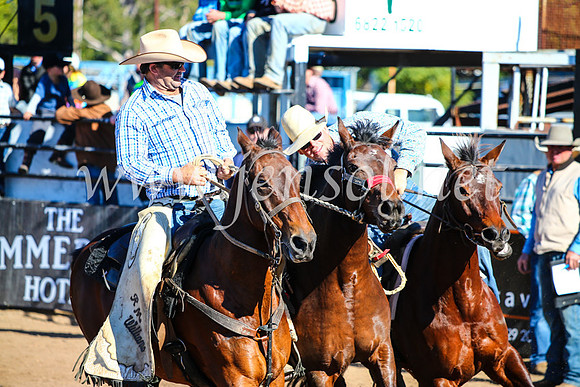 CoonambleRodeoCampdraftMon_6704