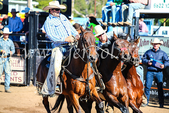 CoonambleRodeoCampdraftMon_6697