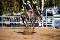 CoonambleRodeoCampdraftMon_6727