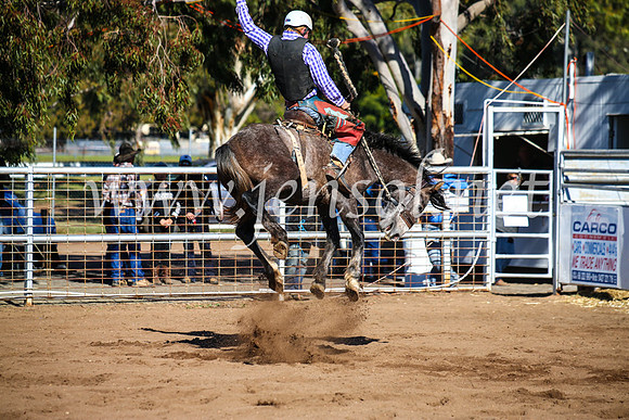 CoonambleRodeoCampdraftMon_6727