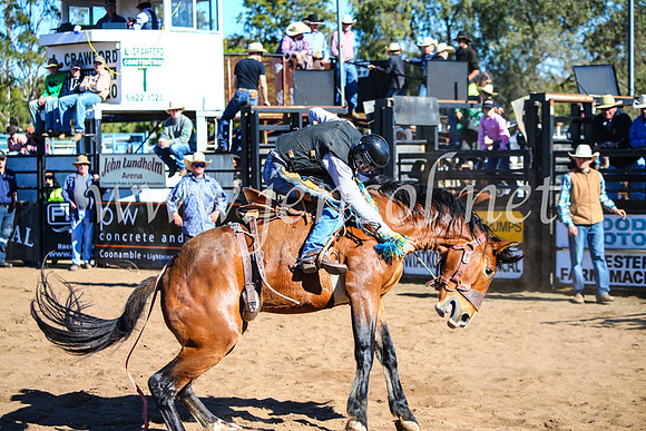 CoonambleRodeoCampdraftMon_6831