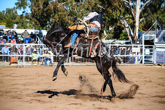 CoonambleRodeoCampdraftMon_6785