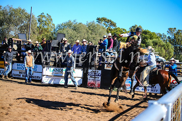 CoonambleRodeoCampdraftMon_6799