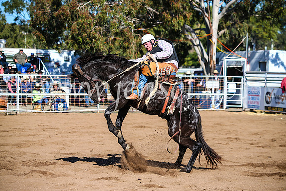 CoonambleRodeoCampdraftMon_6781