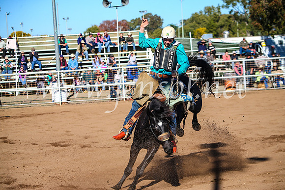 CoonambleRodeoCampdraftMon_6656