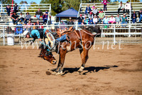 CoonambleRodeoCampdraftMon_6682