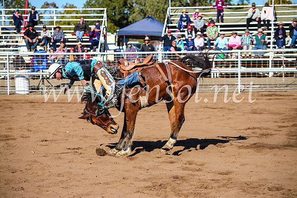 CoonambleRodeoCampdraftMon_6682