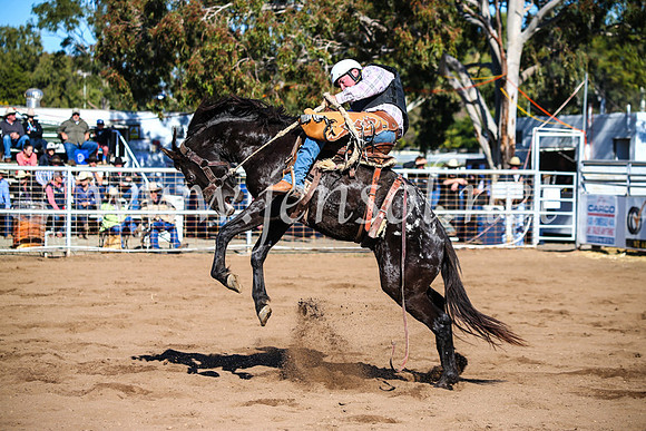 CoonambleRodeoCampdraftMon_6784