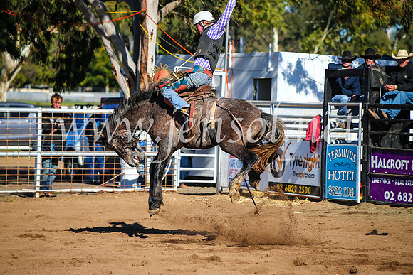 CoonambleRodeoCampdraftMon_6733
