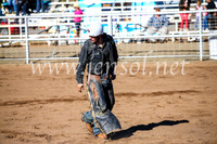 CoonambleRodeoCampdraftMon_6694