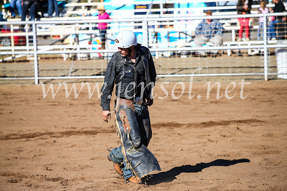 CoonambleRodeoCampdraftMon_6694