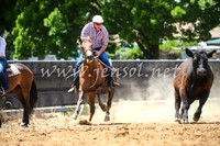 OrangeCampdraft2017_0170