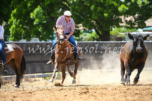 OrangeCampdraft2017_0170