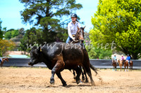 OrangeCampdraft2017_0209