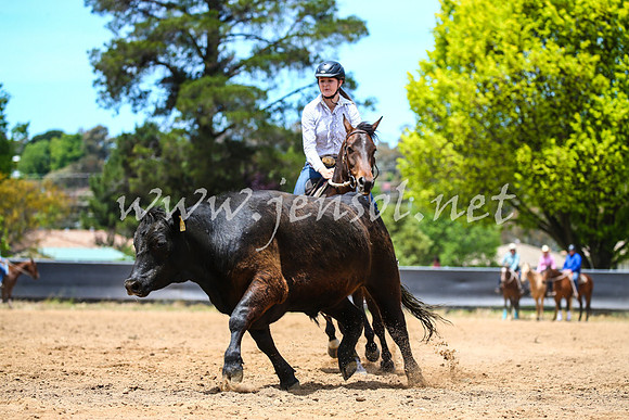 OrangeCampdraft2017_0209