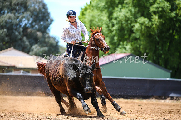 OrangeCampdraft2017_0064