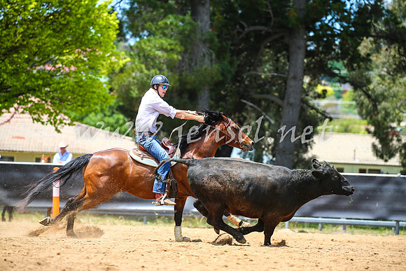 OrangeCampdraft2017_0151