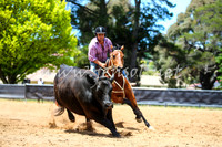 OrangeCampdraft2017_0106