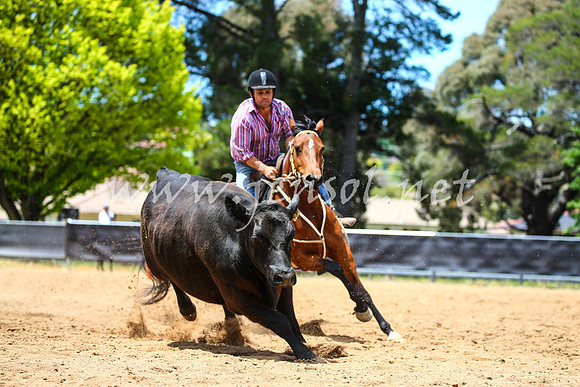 OrangeCampdraft2017_0106