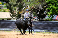 OrangeCampdraft2017_0301