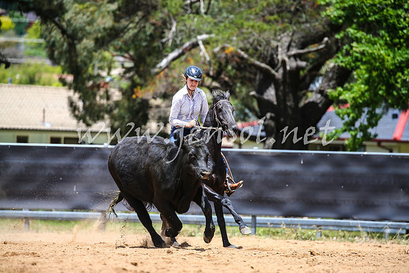 OrangeCampdraft2017_0301