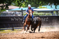 OrangeCampdraft2017_0102