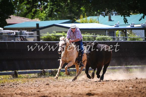 OrangeCampdraft2017_0077