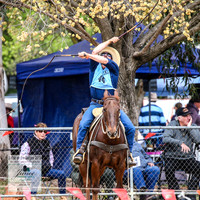 BOTB2019_5319