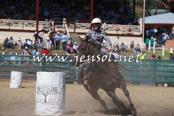 CoomaRodeo2016_1403