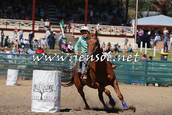 CoomaRodeo2016_1394