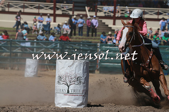 CoomaRodeo2016_1261