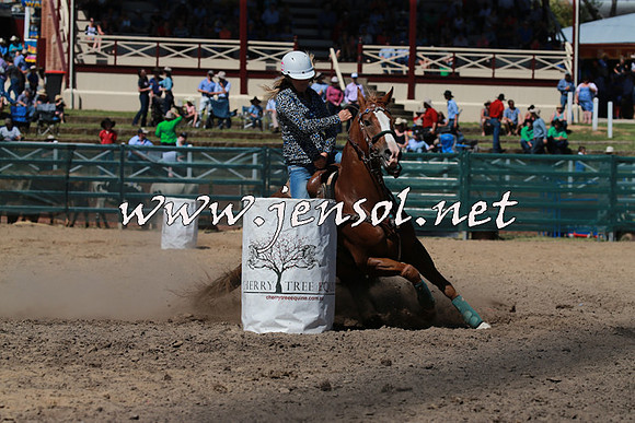 CoomaRodeo2016_1253