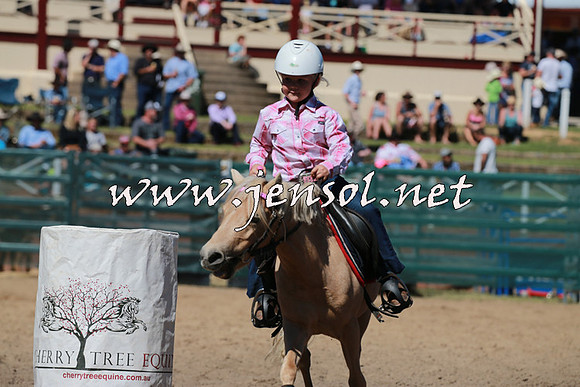 CoomaRodeo2016_1487