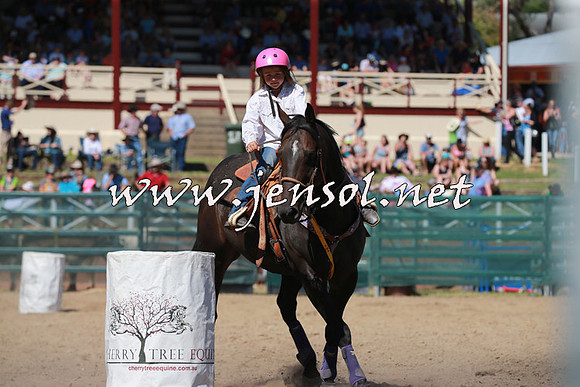 CoomaRodeo2016_1515