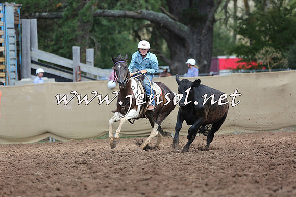 TaralgaCampdraftSat_0167