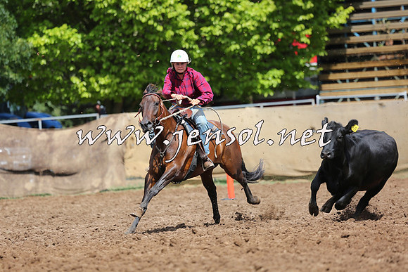 TaralgaCampdraftSat_0174