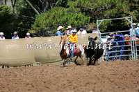 TaralgaCampdraftSat_0149