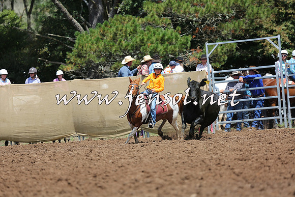 TaralgaCampdraftSat_0149