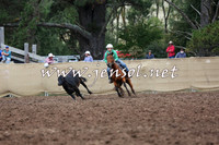 TaralgaCampdraftSat_0178