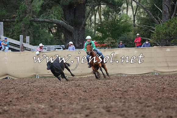 TaralgaCampdraftSat_0178