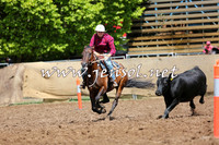 TaralgaCampdraftSat_0173